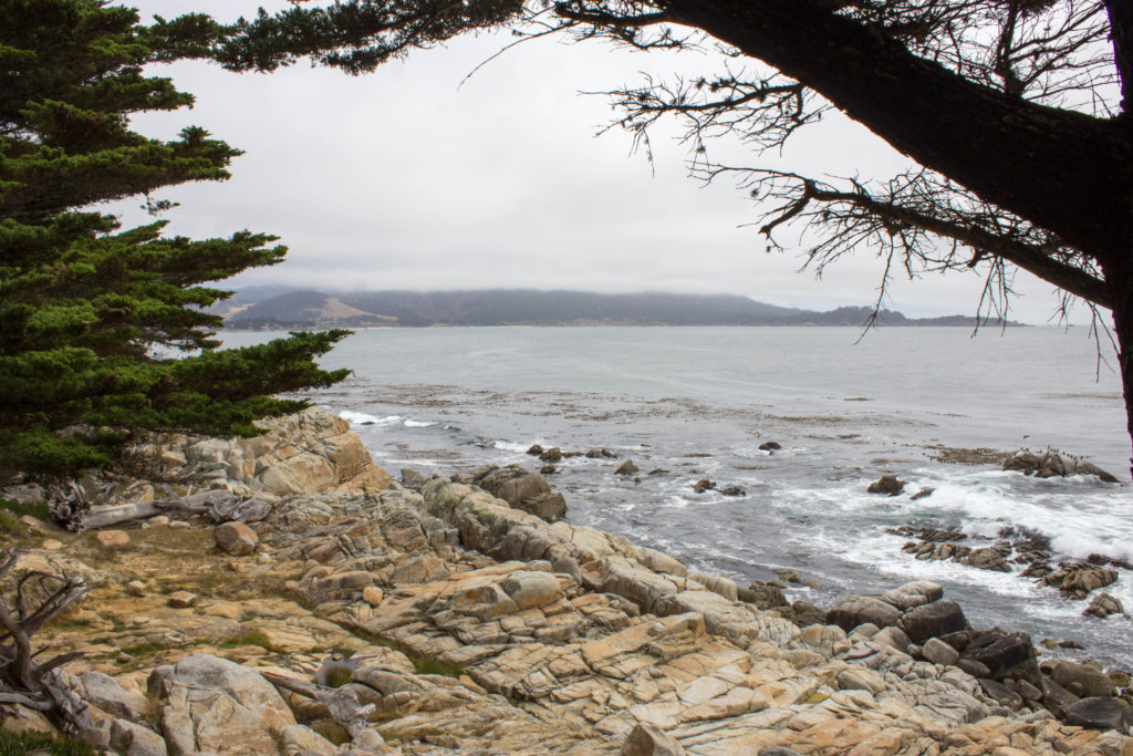 mile drive of interest 17 point The World See 17 See To To  Monterey's  Mile Drive The World